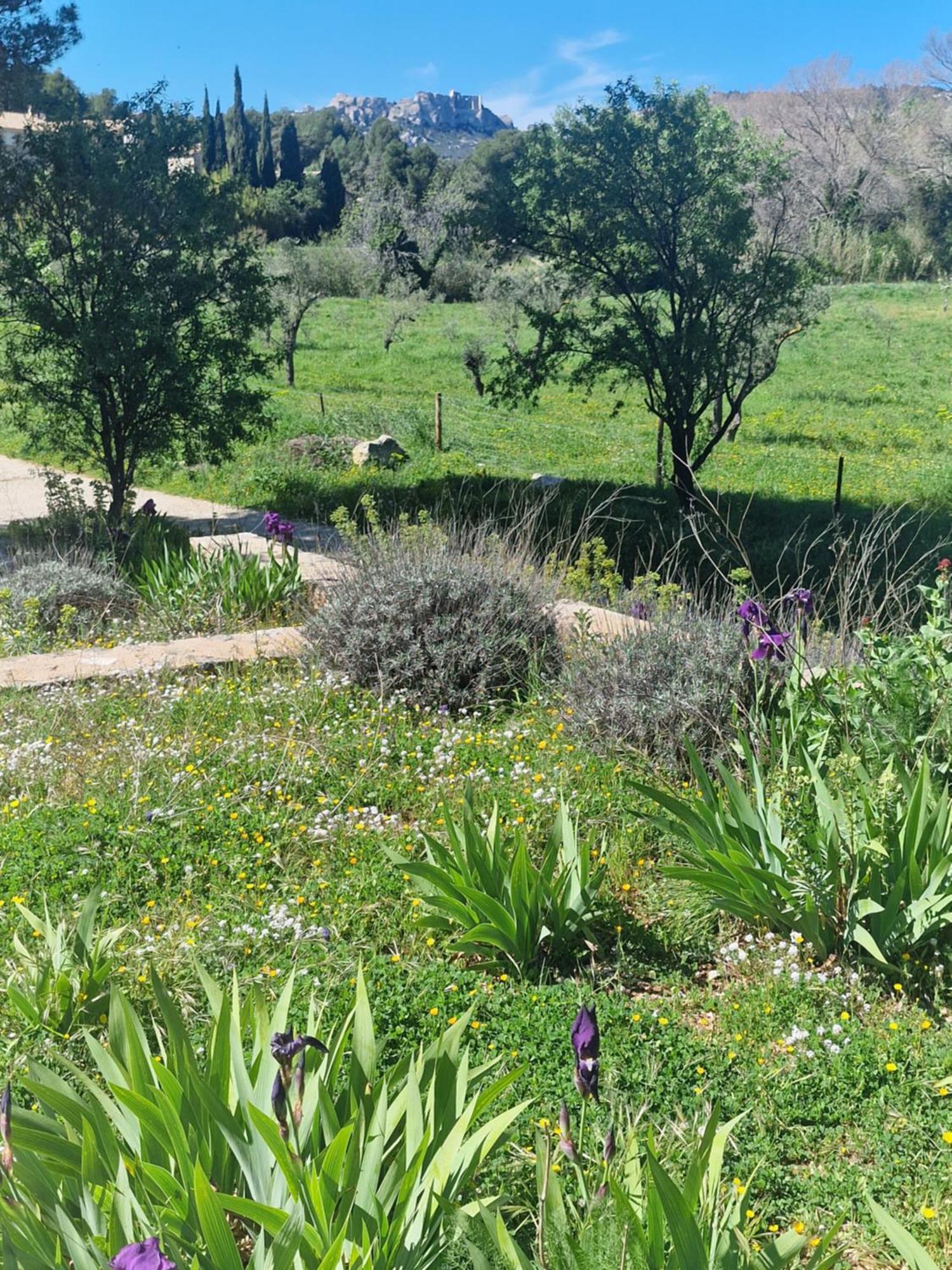 Domaine Du Mas Foucray Aparthotel Ле Бо дьо Прованс Екстериор снимка